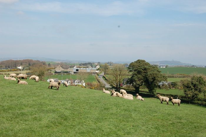 Adjacent To 56 Ballycreely Road