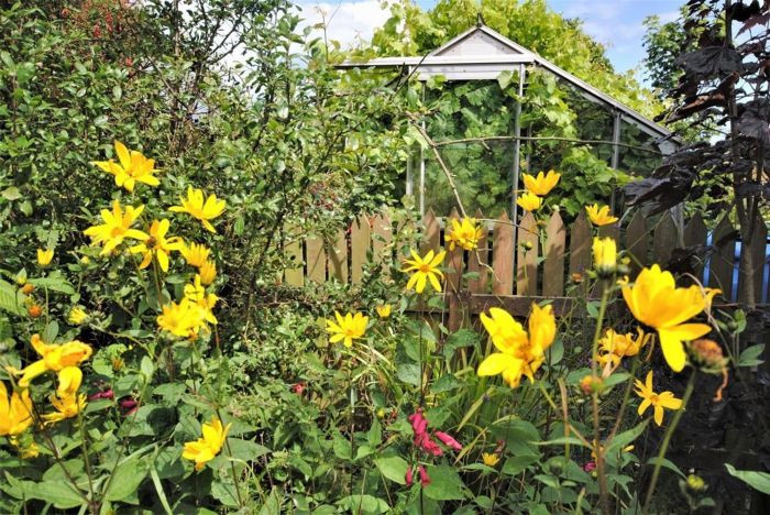 Narnia Cottage, 20 Portavogie Road