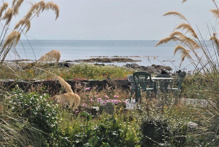 Narnia Cottage, 20 Portavogie Road