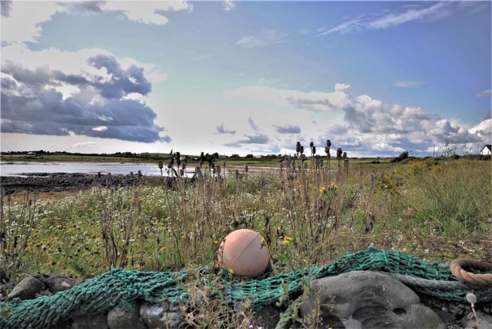 Narnia Cottage, 20 Portavogie Road