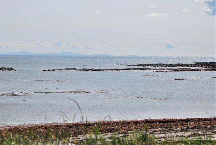 Narnia Cottage, 20 Portavogie Road