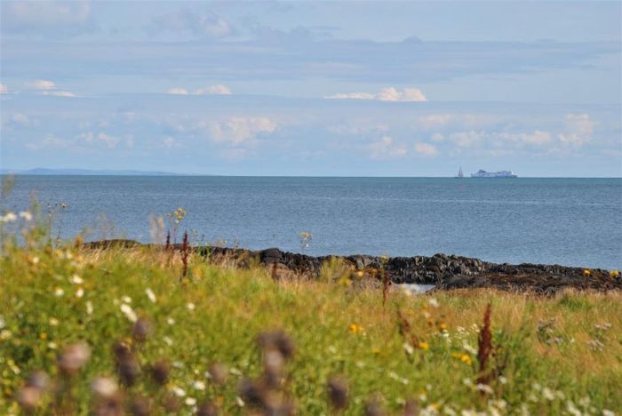 Narnia Cottage, 20 Portavogie Road