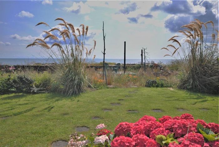 Narnia Cottage, 20 Portavogie Road