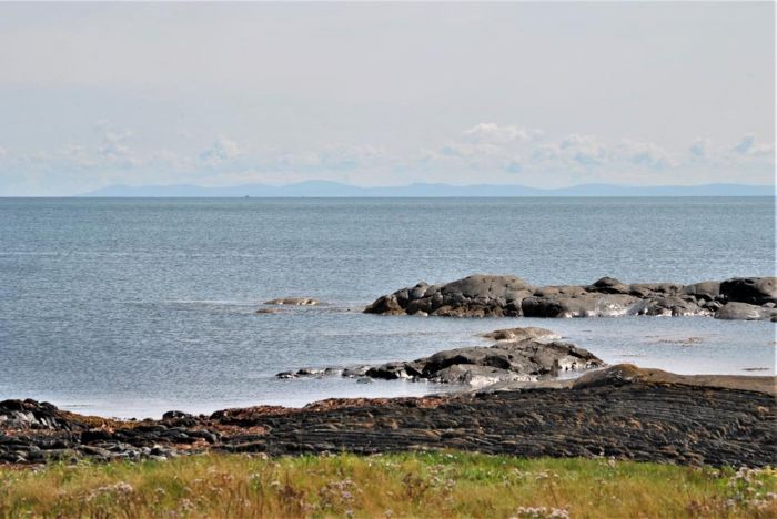 Narnia Cottage, 20 Portavogie Road