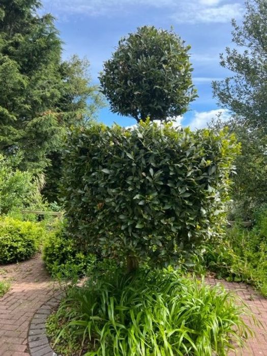 Ballycross House, 48 High Bangor Road