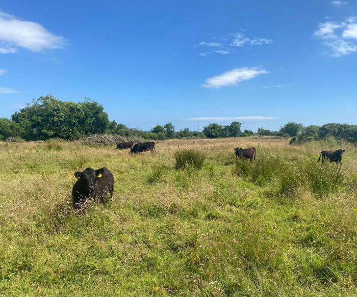 Ashgrove, 12 Drumawhey Road Ashgrove, 12 Drumawhey Road