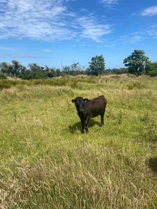 Ashgrove, 12 Drumawhey Road Ashgrove, 12 Drumawhey Road