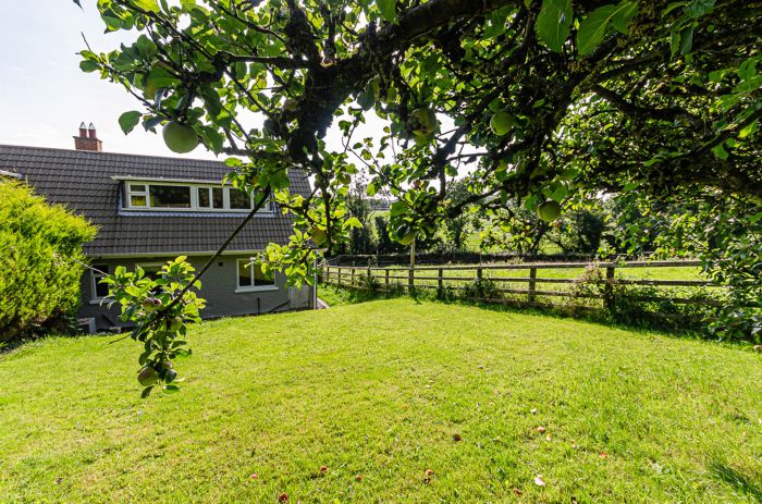 42 Ballyknockan Road 42 Ballyknockan Road
