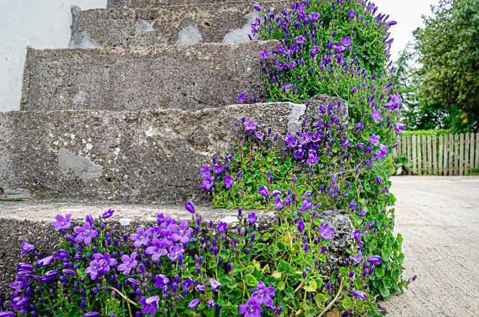 The Long Cottage, 33a Mullaghbrack Road