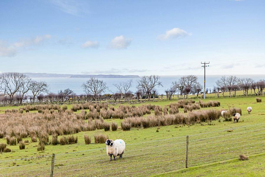 The Pink Bungalow,    Dunamallaght Road