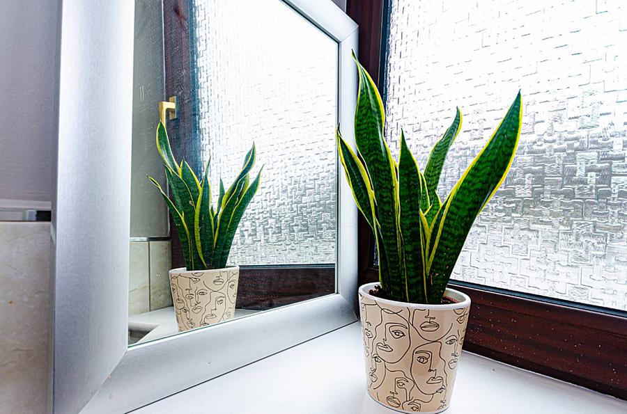 22 Willowholme Drive