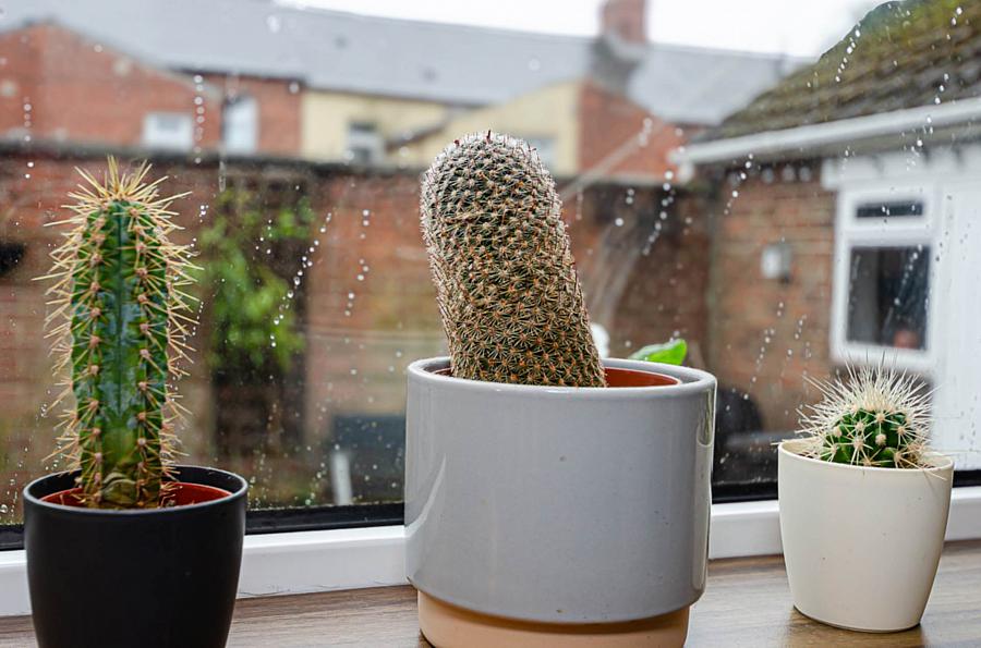 70 Willowfield Gardens