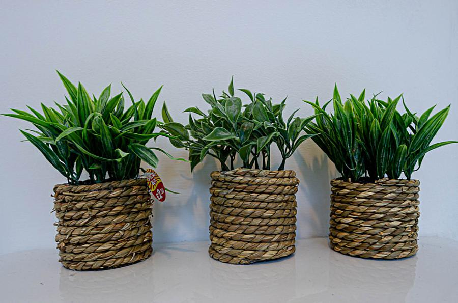 49 Willowfield Drive