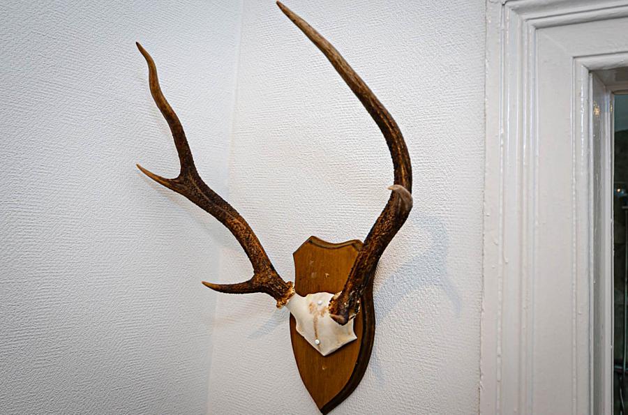 23 Kensington Avenue