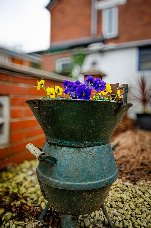 20 Mount Merrion Avenue