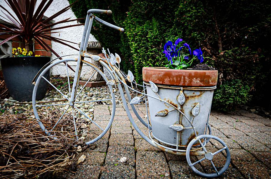 20 Mount Merrion Avenue