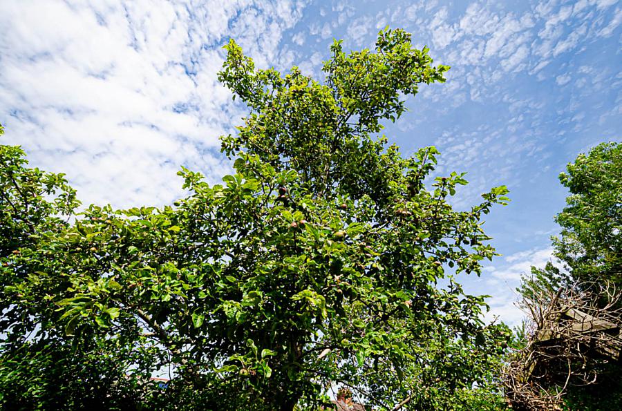 4 Mount Merrion Drive