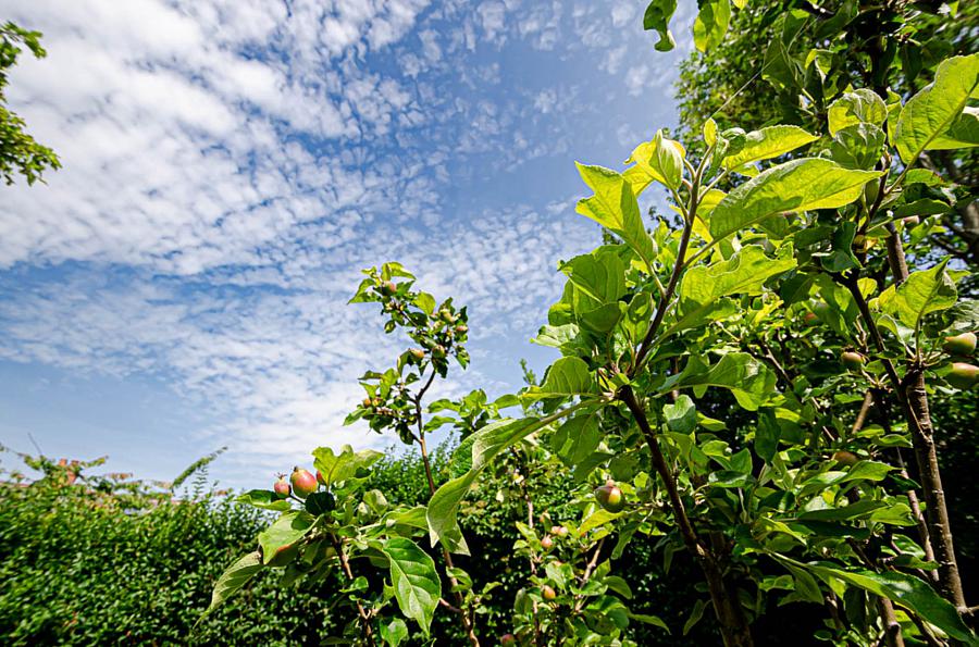 4 Mount Merrion Drive