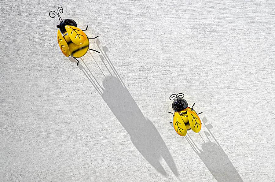 15 Hillsborough Drive