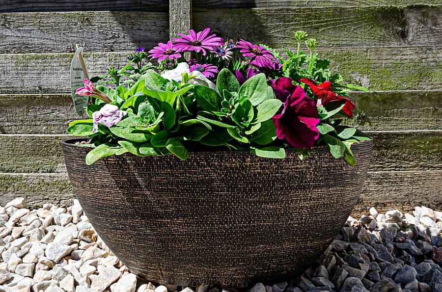 15 Hillsborough Drive