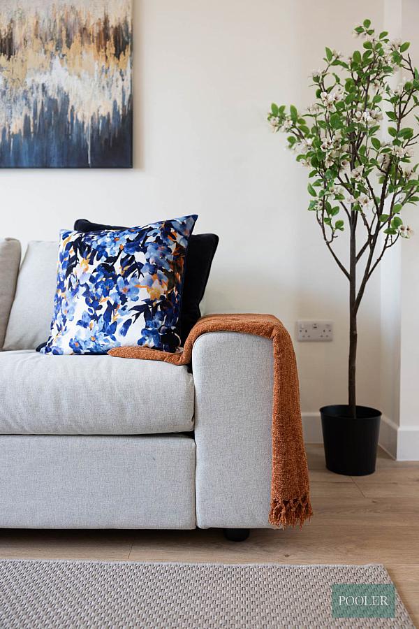 7 Willowfield Street