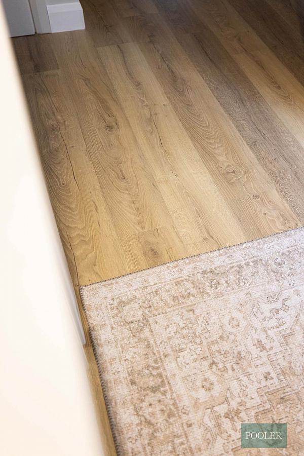 229 Ravenhill Avenue