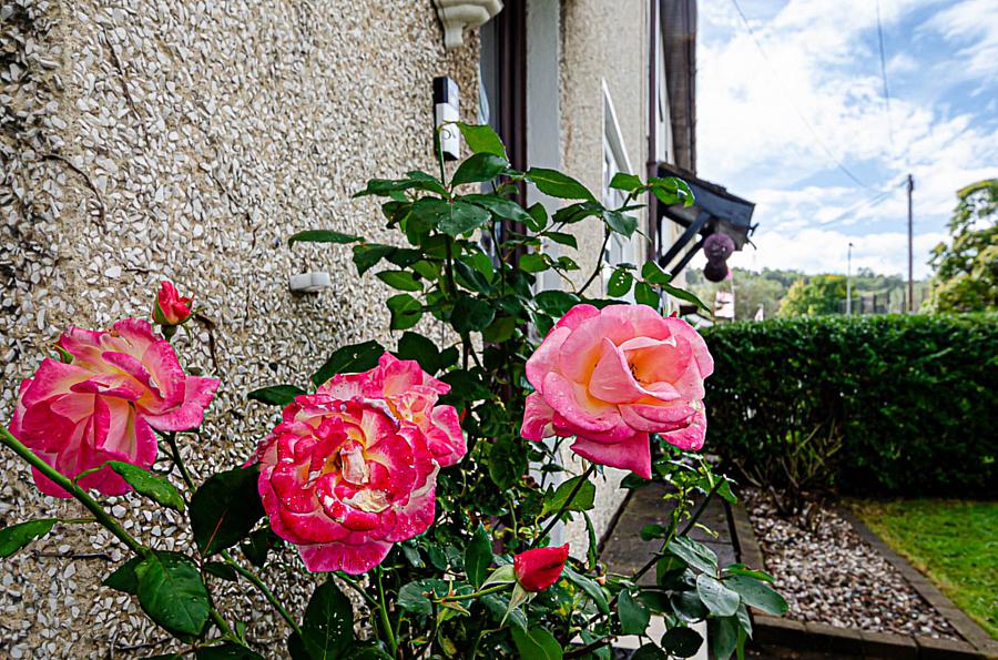 92 Clonduff Drive