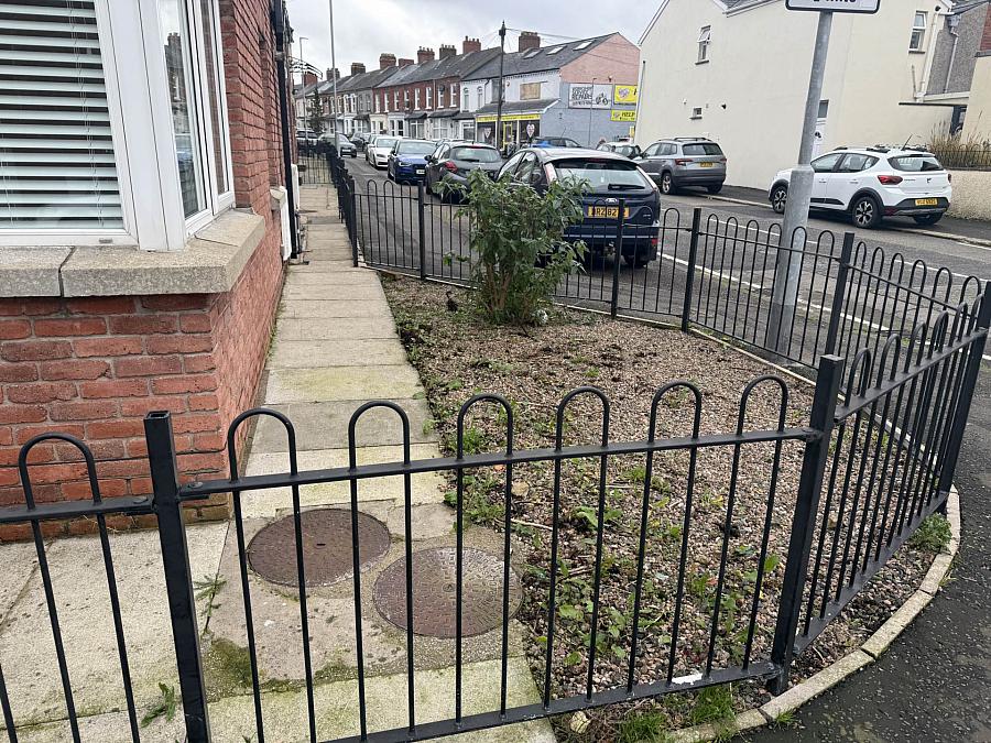 49 Willowfield Street