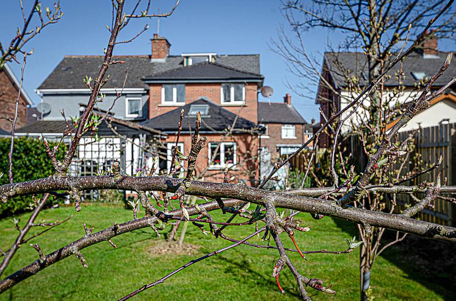 27 Hillsborough Drive