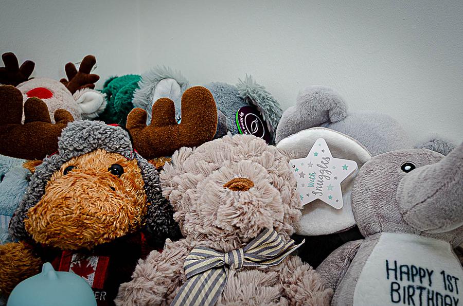 9 Willowfield Gardens