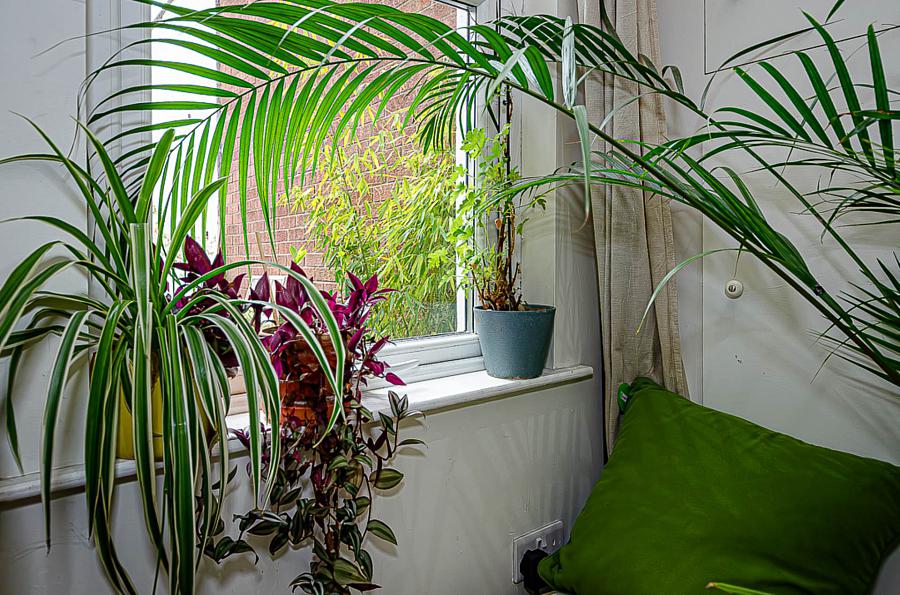 53 Castlereagh Street