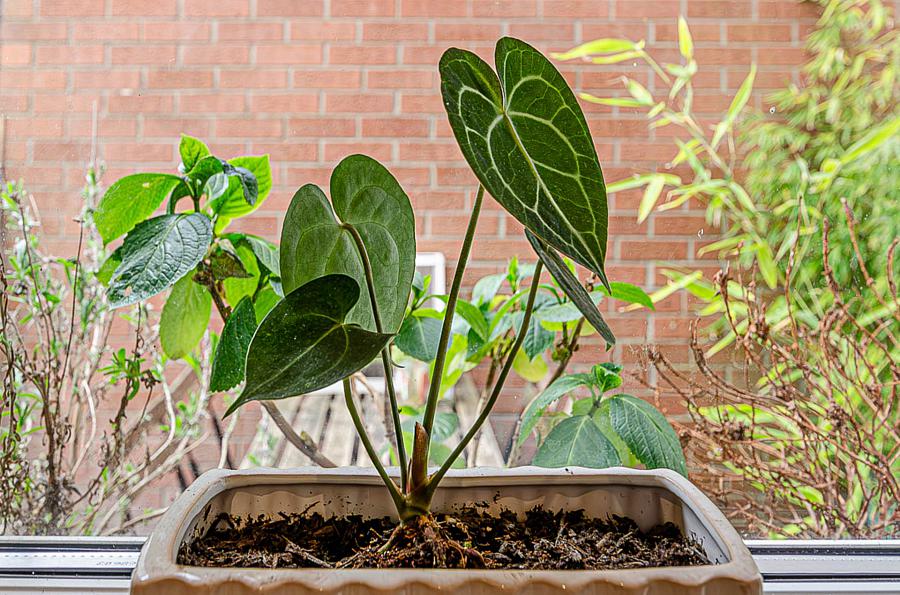 53 Castlereagh Street