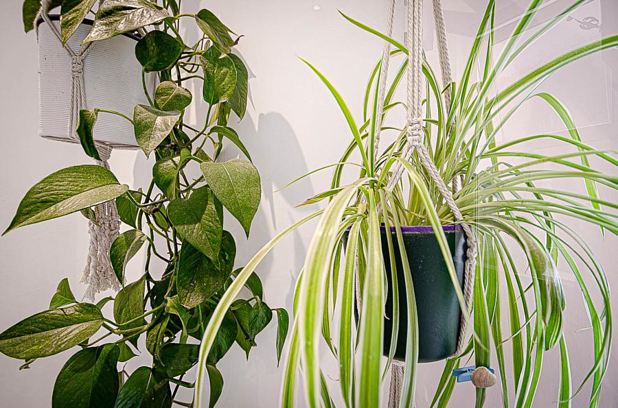 53 Castlereagh Street