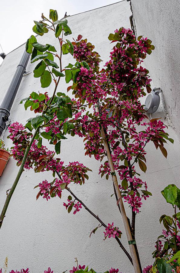 53 Castlereagh Street