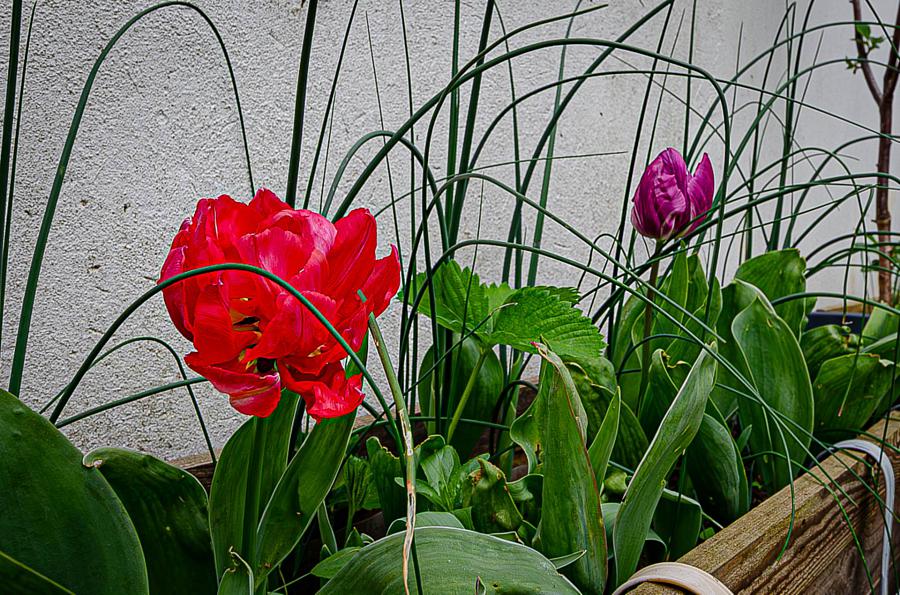 53 Castlereagh Street