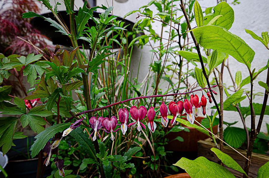 53 Castlereagh Street