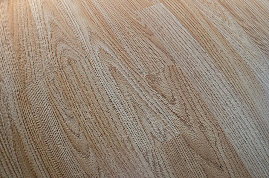 73 Hillsborough Drive