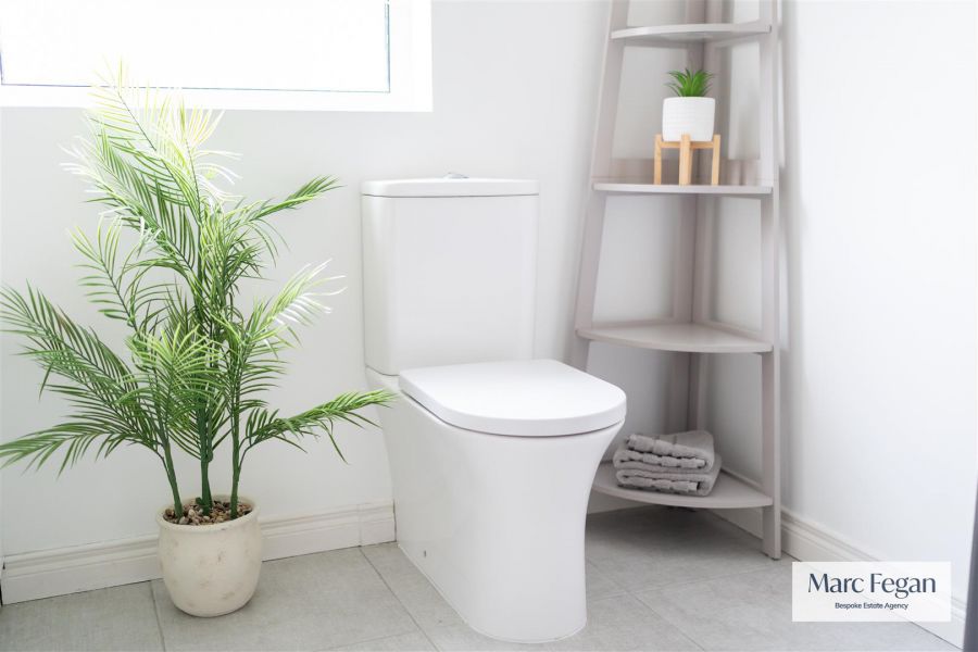 33 Silverwood Leaves