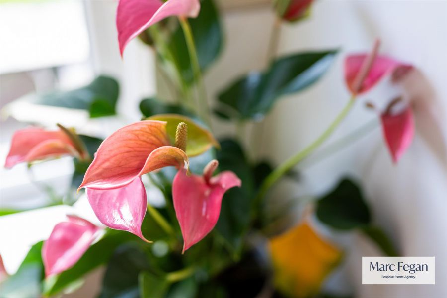 1 The Grange 1 The Grange