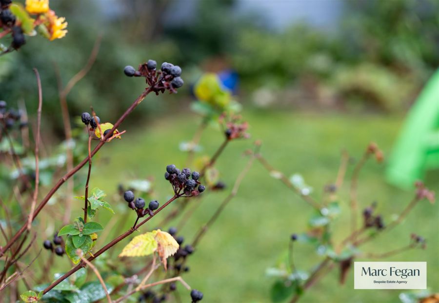 31 Annesborough Park