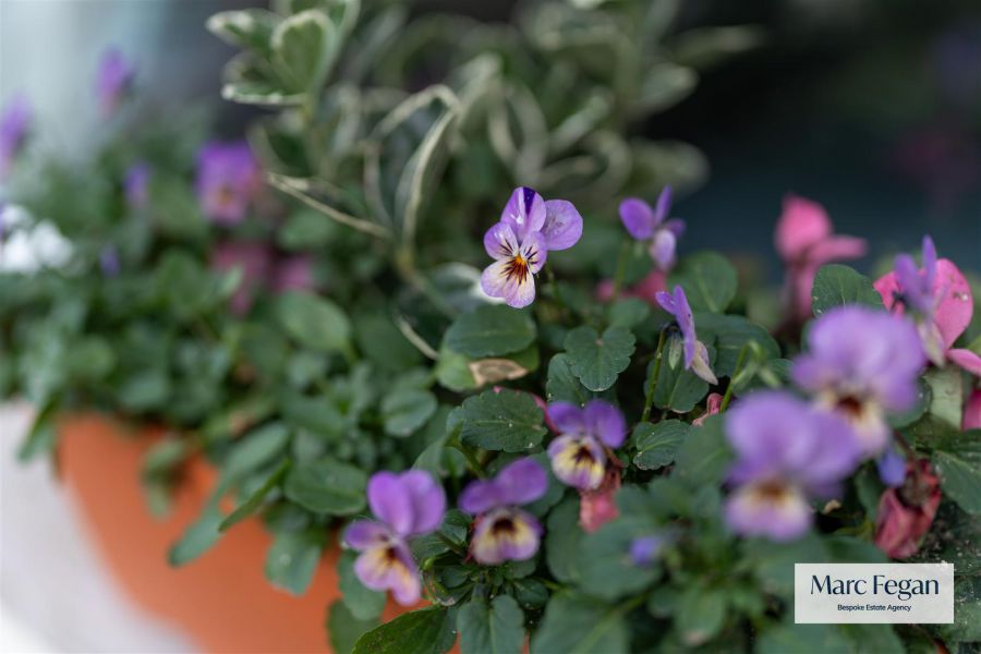 31 Annesborough Park