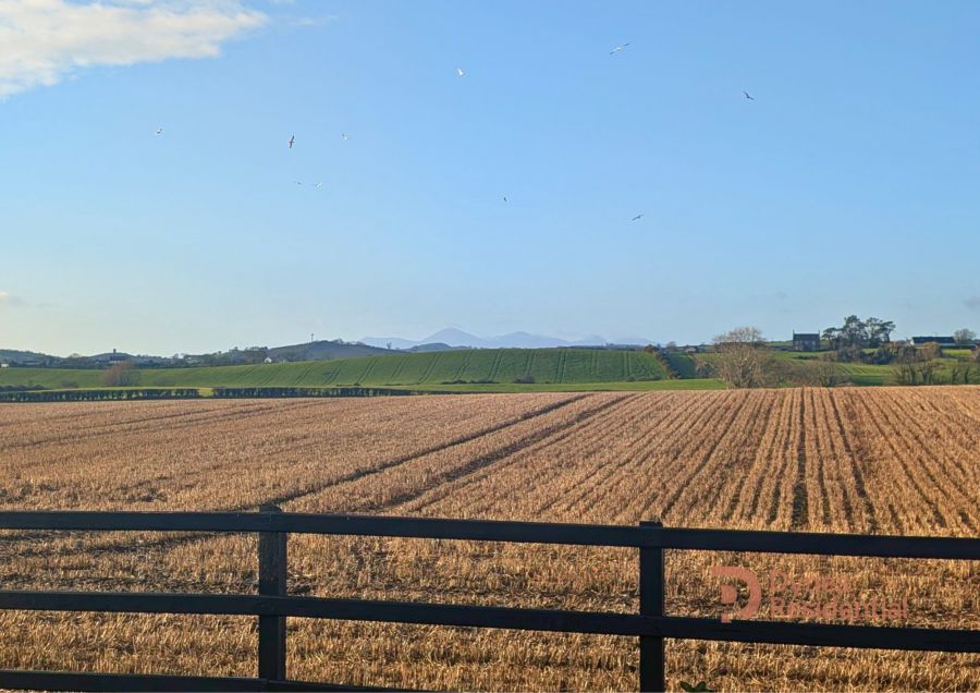 12H Ballygalget Road