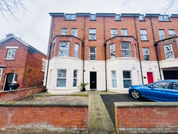 Apt 1, 73 Ulsterville Avenue