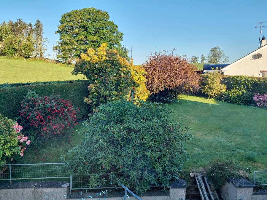 115 Baronscourt Road