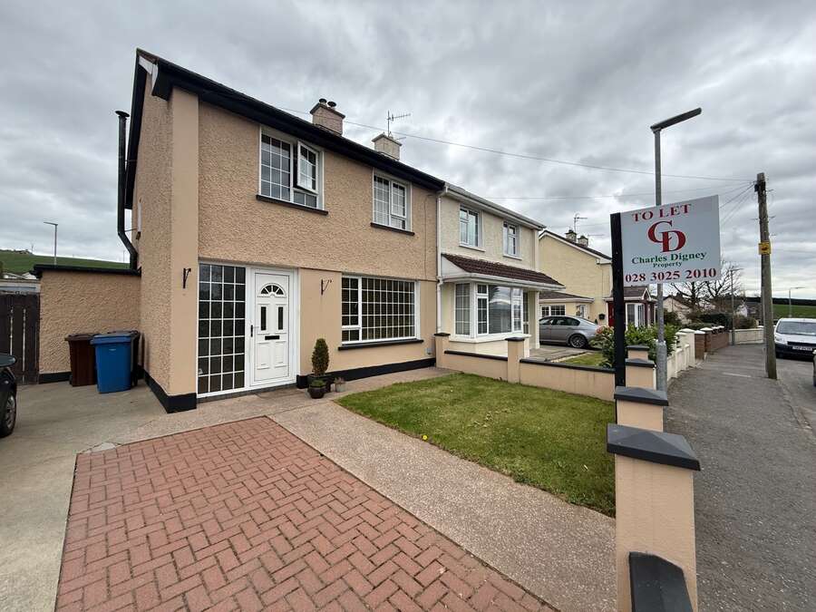 41 Lurganare Cross