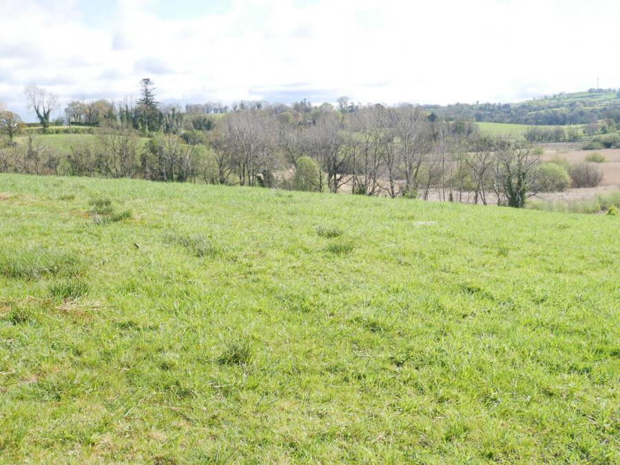 230 Irvinestown Road 230 Irvinestown Road