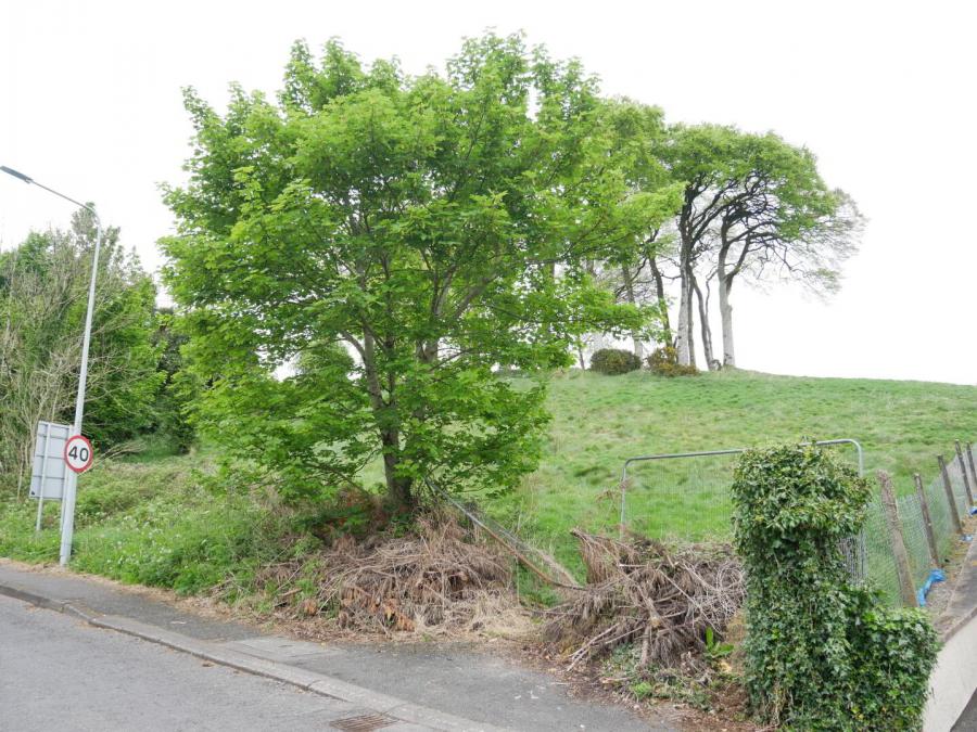 Edenmore