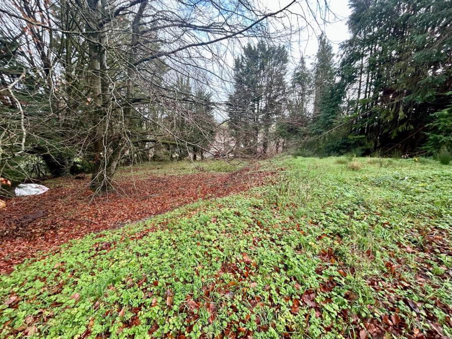 22 Castle Balfour Road