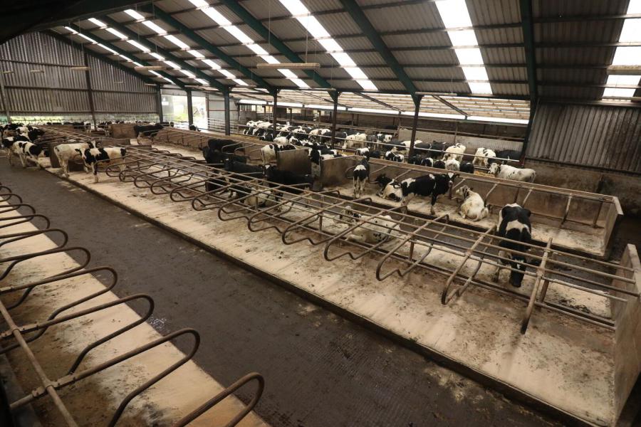 Bunnahone, 78 Churchill Road