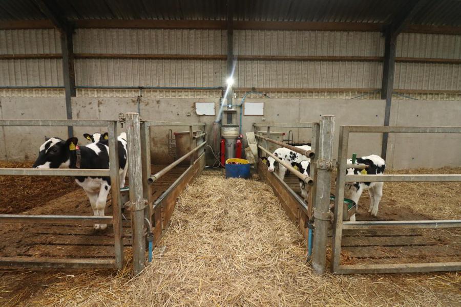 Bunnahone, 78 Churchill Road